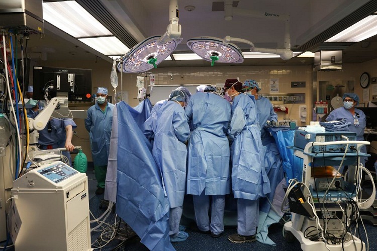 Cirujanos en EEUU trasplantan riñón de cerdo a una persona viva