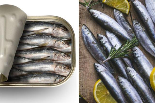 Comer más sardinas y menos carnes rojas evitaría 750.000 muertes