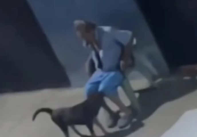 Fue grabado por unos vecinos: Adulto mayor detenido por abusar de un perro en plena vía en Lara