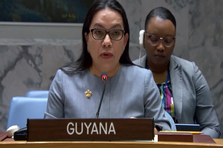 Guyana satisfecha con el apoyo del Consejo de Seguridad por el Esequibo