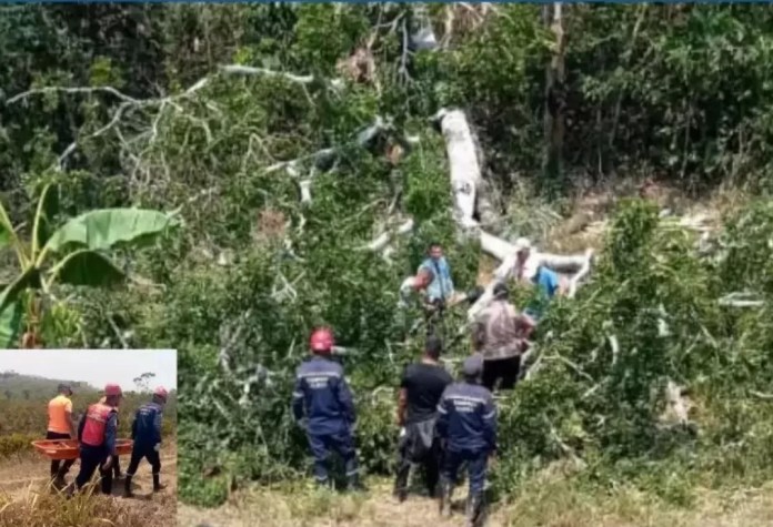 Un niño murió aplastado por un árbol en una finca en Tinaquillo