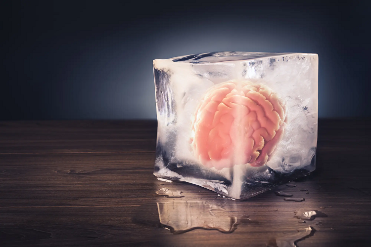 El tejido cerebral humano congelado ahora se puede revivir sin sufrir daños
