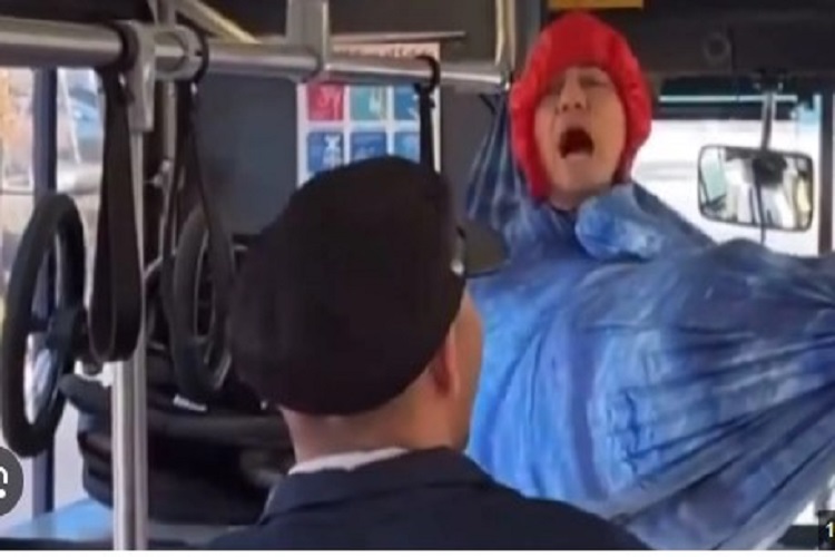 Viral: Se colgó en una hamaca en un autobús en Nueva York