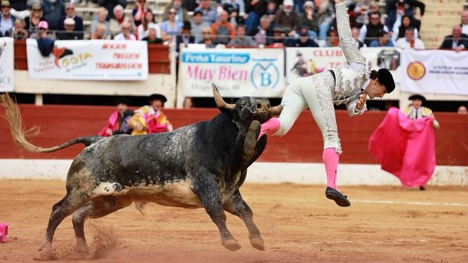 El torero Román Collado corneado en Francia