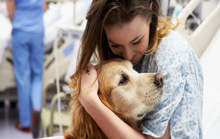 La muestra de afecto humano que genera estrés y ansiedad en los perros: ¿lo sabías?