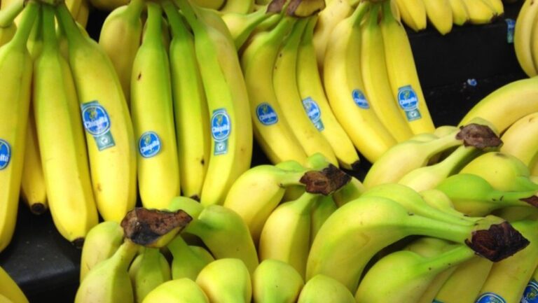 La justicia de EEUU halla responsable a la bananera Chiquita de financiar a paramilitares en Colombia