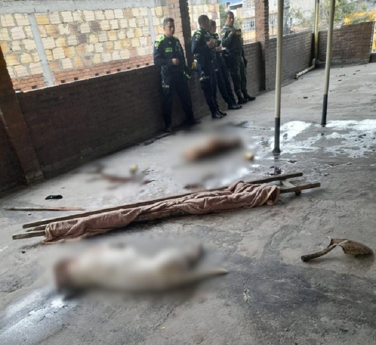 Hombre fue brutalmente atacado por sus dos pitbulls en Bogotá