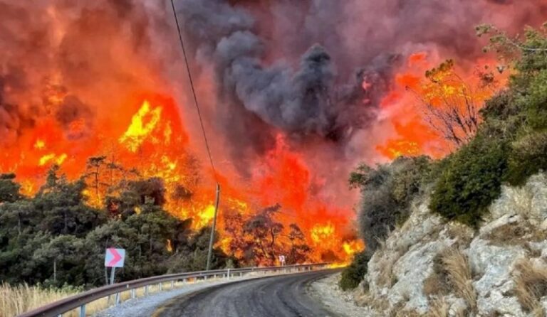 Once personas mueren en incendio forestal en Turquía