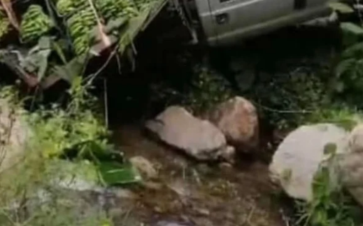 Mérida | Puente de madera colapsó cuando un camión que transportaba cambures intentó cruzar