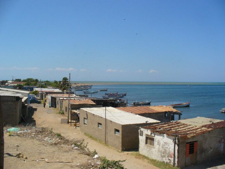 Culpan a las aguamalas| Olor fétido a pescado se esparce en la atmosfera en Punta Cardón