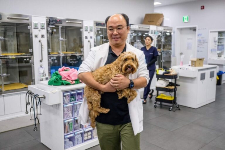 Veterinarios recurren a la inteligencia artificial para atender mascotas en Corea del Sur