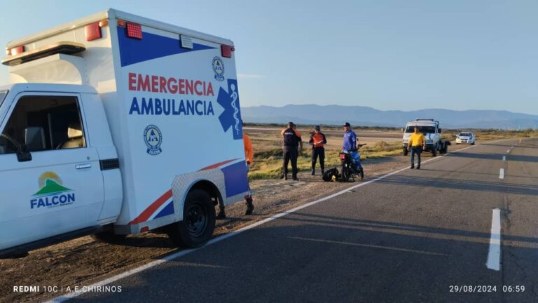 Burro muerto en la carretera Coro-Punto Fijo ocasionó un accidente de tránsito