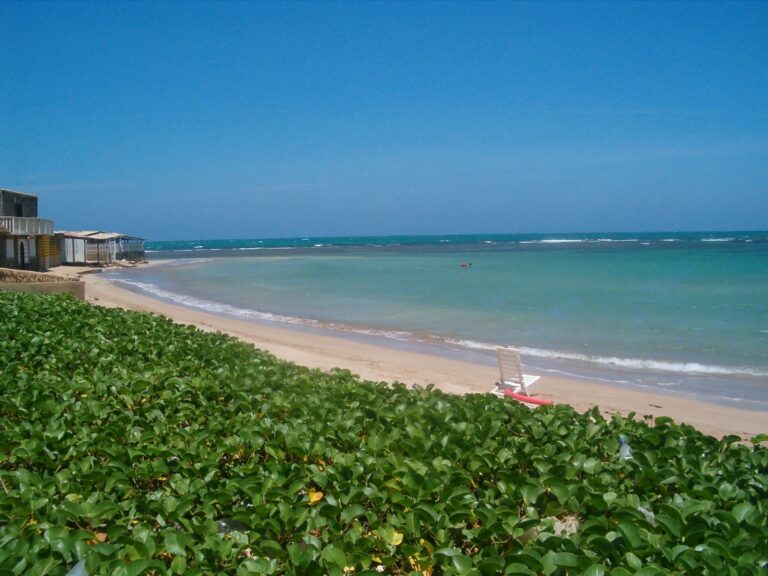 IMTUR celebrará el día mundial de las playas con jornada ecológica en El Supí