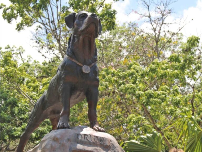 Orión, el perro héroe de la tragedia de Vargas en el 99 tiene su estatua y plaza en La Guaira