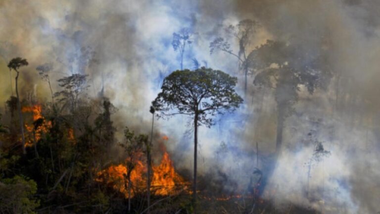 El humo de fuegos en la Amazonía alcanza grandes ciudades de Brasil y se expande por el continente