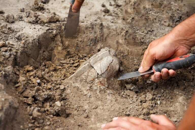 Descubren en China una tumba de 5.000 años de antigüedad