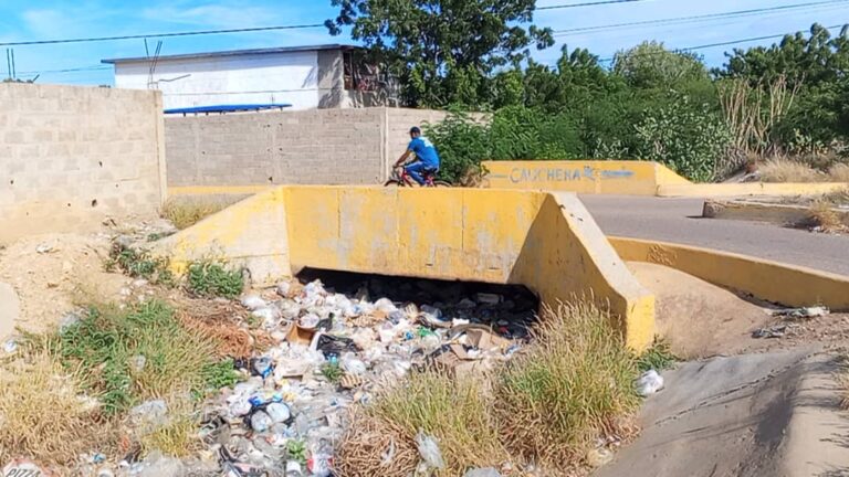 Quebrada que divide Las Eugenias y Arístides Calvani, obstruida con monte y basura