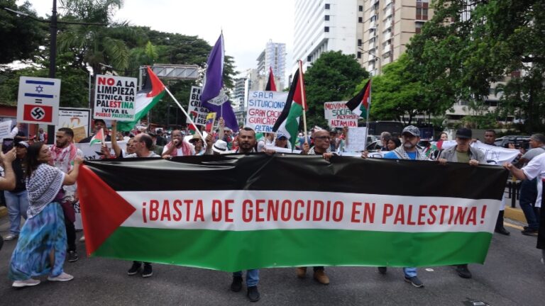 Venezolanos se movilizaron en Caracas en solidaridad con Palestina y el Líbano