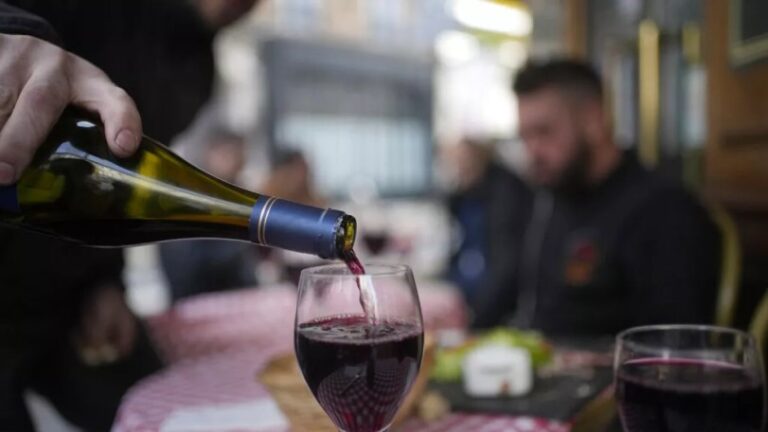 Francia prevé una caída masiva de la producción de vino en 2024