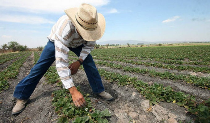 Comité Central de Egresados de la ETEA «San Luis» anunció programación por el día del perito agropecuario