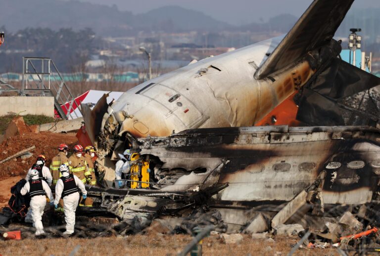 Los investigadores encuentran restos de aves migratorias en el avión de Corea del Sur donde murieron 179 personas