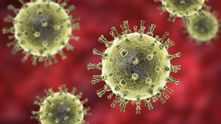 La OMS evalúa el riesgo de un posible brote de metapneumovirus