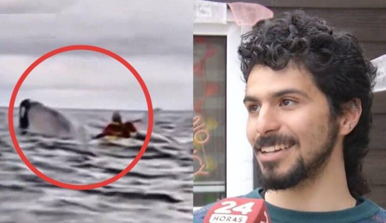 Una ballena jorobada se traga a un venezolano y luego lo escupe